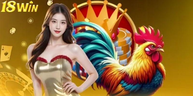 Gà Peru thường gây chú ý nhờ ngoại hình nổi bật